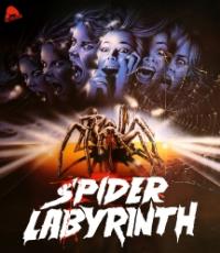 Spider Labyrinth