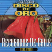 Recuerdos De Chile: Coleccion Disco De Oro