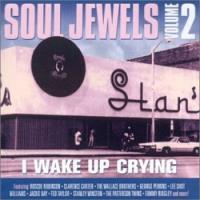 Soul Jewels Vol. 2: No More Ghettos In America